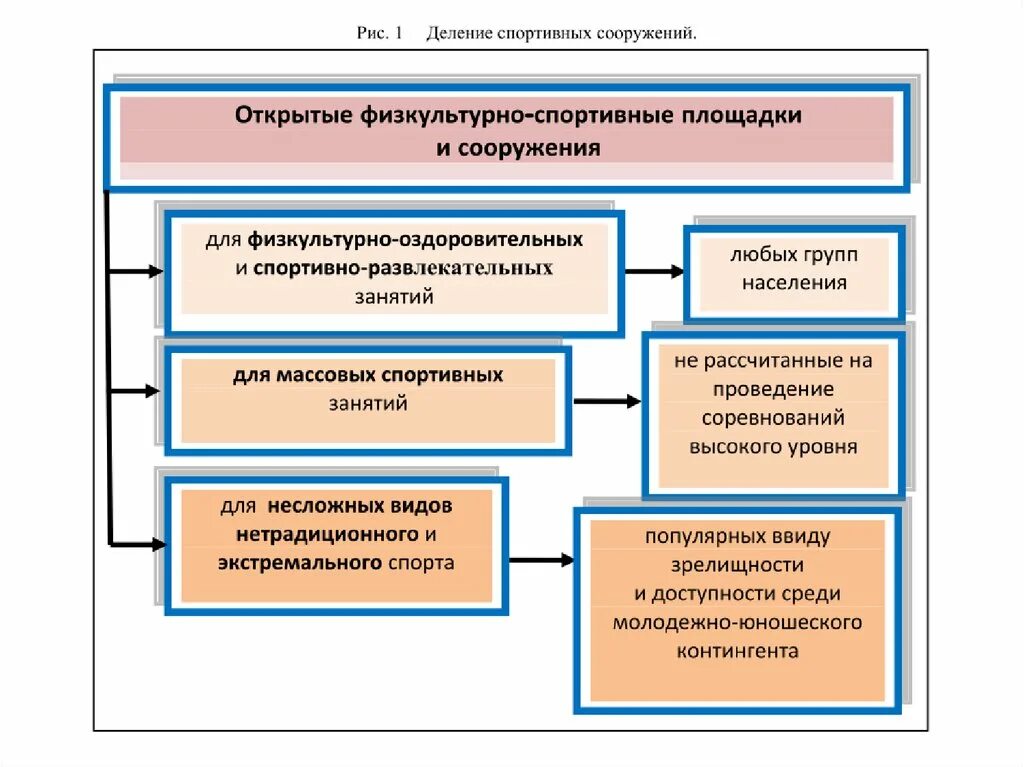 Учет спортивная организация