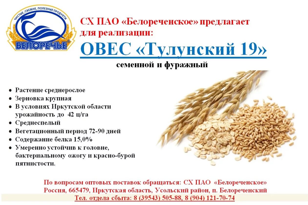 Продукция Белореченское. СХ ОАО Белореченское. Белореченские продукты. Молочная продукция Белоречье. Белореченское сх пао