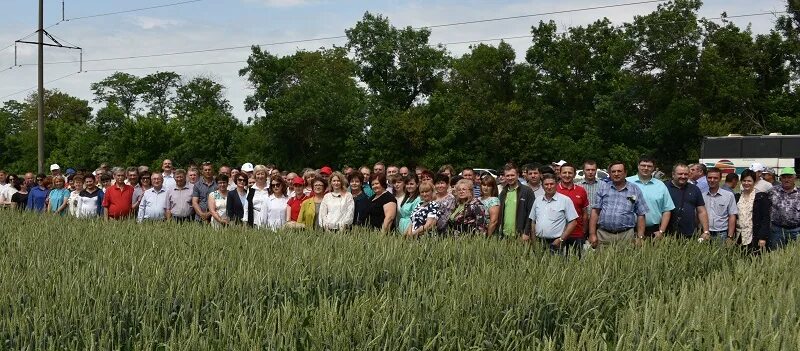 Погода в агрономе динского. Погода в агрономе динского. Агроном краснодар поселок. Поселок агроном краснодарский край. Совхоз агроном краснодарский край.