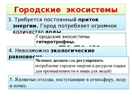 Городская экосистема