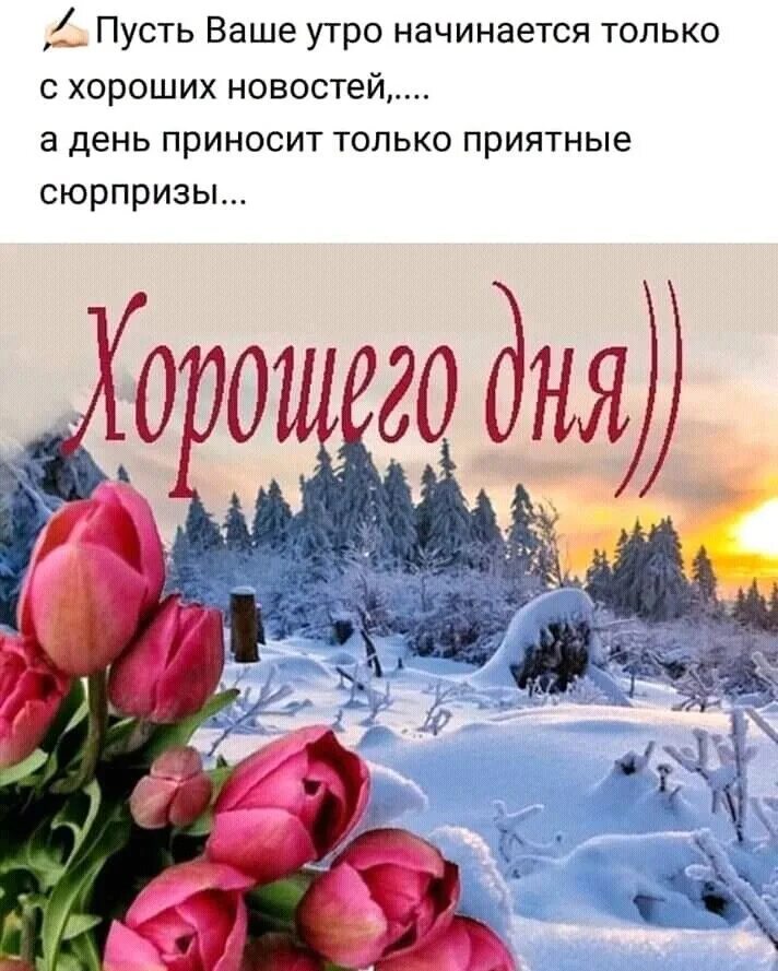Благословенного доброго зимнего утра и хорошего дня. Доброго зимнего дня. доброе зимнее утро.