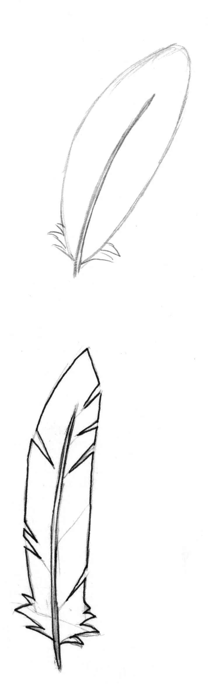 Перо рисунок. Как рисовать перо. Перо карандашом. Как рисовать перо. Нарисовать перо птицы.