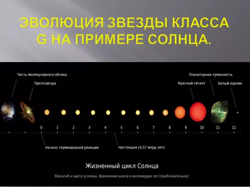 Солнце и звезды астрономия 11 класс. Жизненный цикл звезды спектрального класса k. Эволюция звезд. Схема эволюции звезд. Этапы развития звезды.