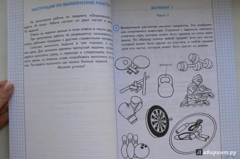 Впр волкова цитович ответы