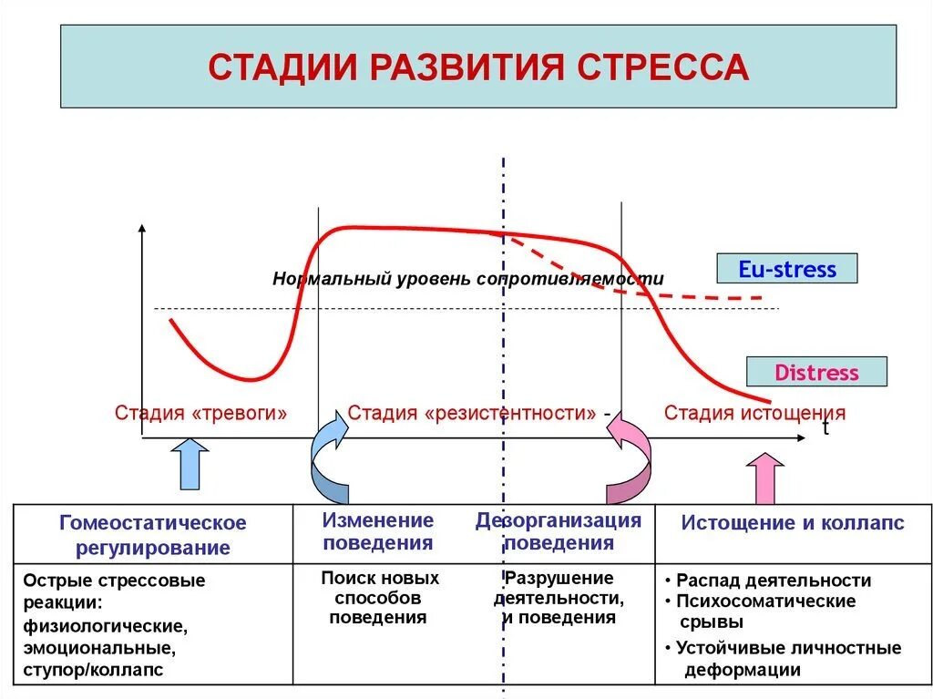 В условиях нарастания. Схема развития стресса по Селье. Фазы психического стресса схема. Стадии тревоги при развитии стресса. Последовательность стадий стресс-реакции:.