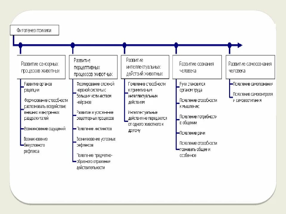 Филогенез животных. Стадия сознания развития психики таблица. Последовательность стадий развития психики в филогенезе:. Проблема возникновения и эволюции психики в филогенезе. Развитие психики в филогенезе схема.
