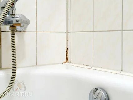 Как избавиться от плесени в ванной комнате Строительный портал RMNT.RU Дзен