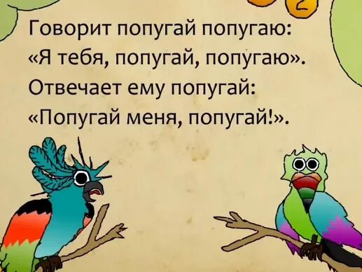 Скороговорка про попугая для детей. Говорит попугай попугаю я тебя попугай попугаю скороговорка. Скороговорка попугай говорит. Скороговорка попугаю. Попугай попугаю скороговорка