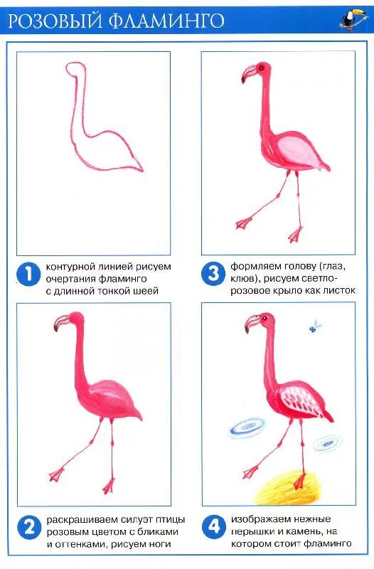 Фламинго соединения в элементах