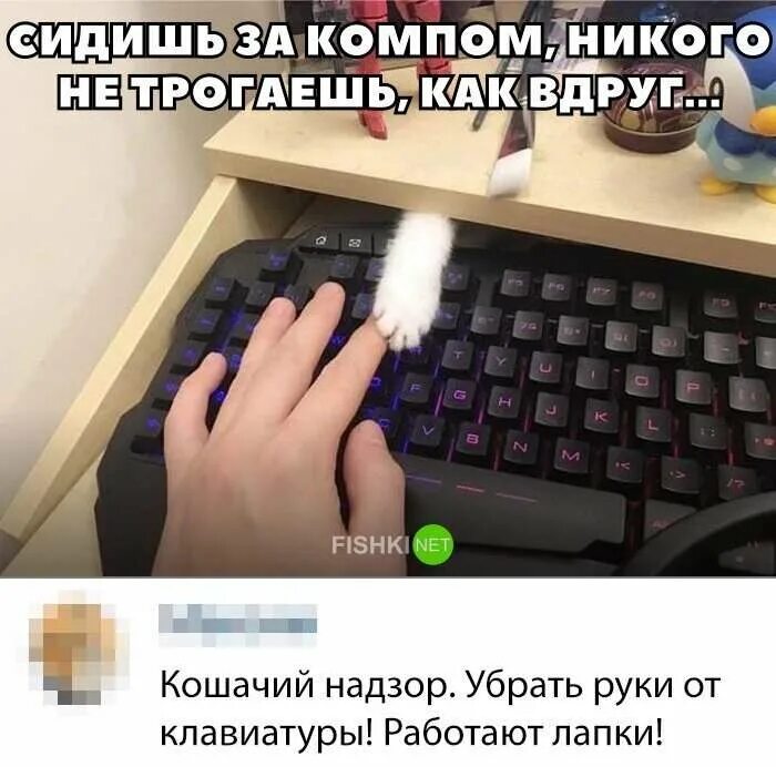 Убери руки 1. Убрать руки из клавиатуры. дзен не убирает клавиатуру.