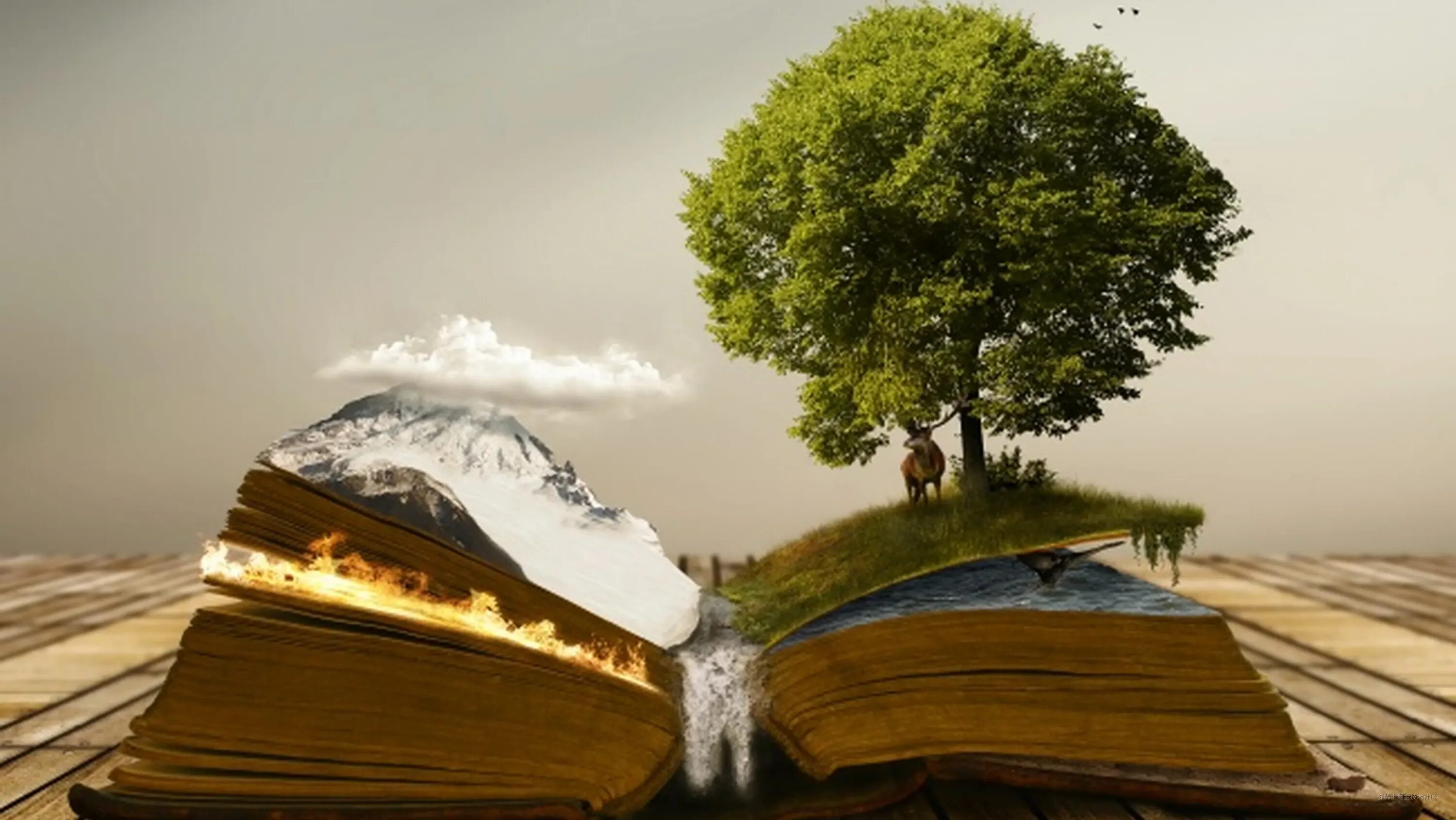 Дающее дерево книга. Дерево с книгами. Книга из дерева. Книга дерево арт. Начало в книге дерево.