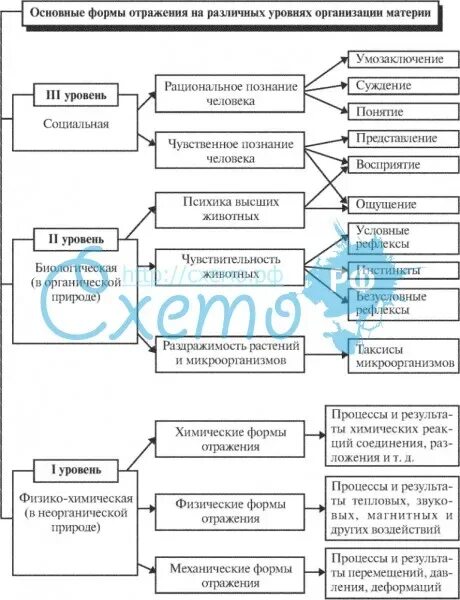Понятие отражение формы отражения. Формы психического отражения схема. формы психического отражения в психологии. уровни психического отражения схема. низшая форма психического отражения это.