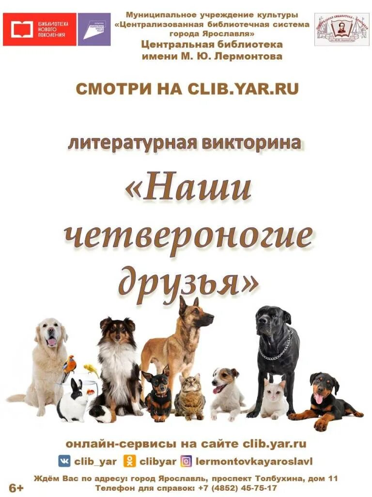 Четвероногие друзья последнее. Наш четвероногий друг. викторина наши четвероногие друзья. животные наши четвероногие друзья. беседа друзья наши четвероногие.