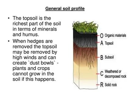 Soil перевод