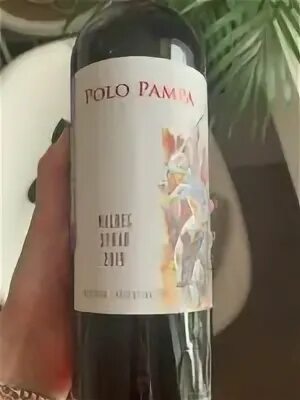 Chardonnay veneto. Аргентинское вино. Polo pampa вино. Вино polo. Вино брунелло ди монтальчино.
