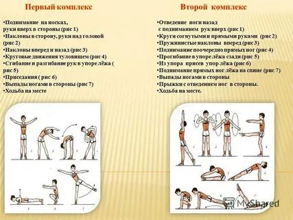 Комплекс упражнения мышц туловища