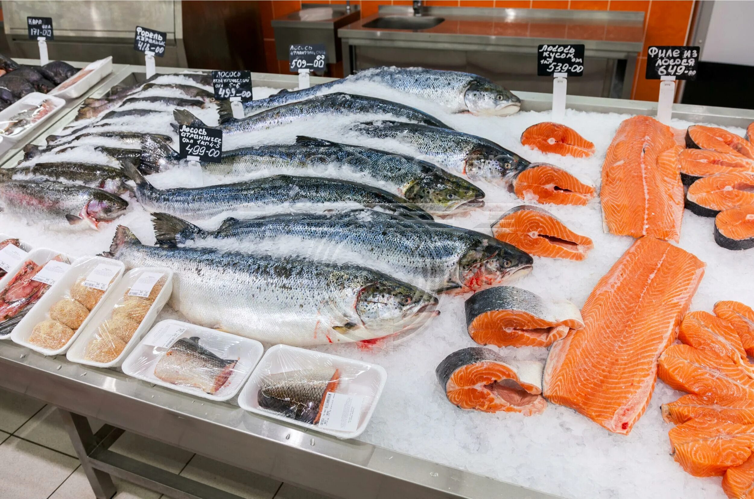 Рынок живая рыба. Рыба на прилавке. Рыбный прилавок. Охлажденная рыба в магазине. Красная рыба на прилавке.