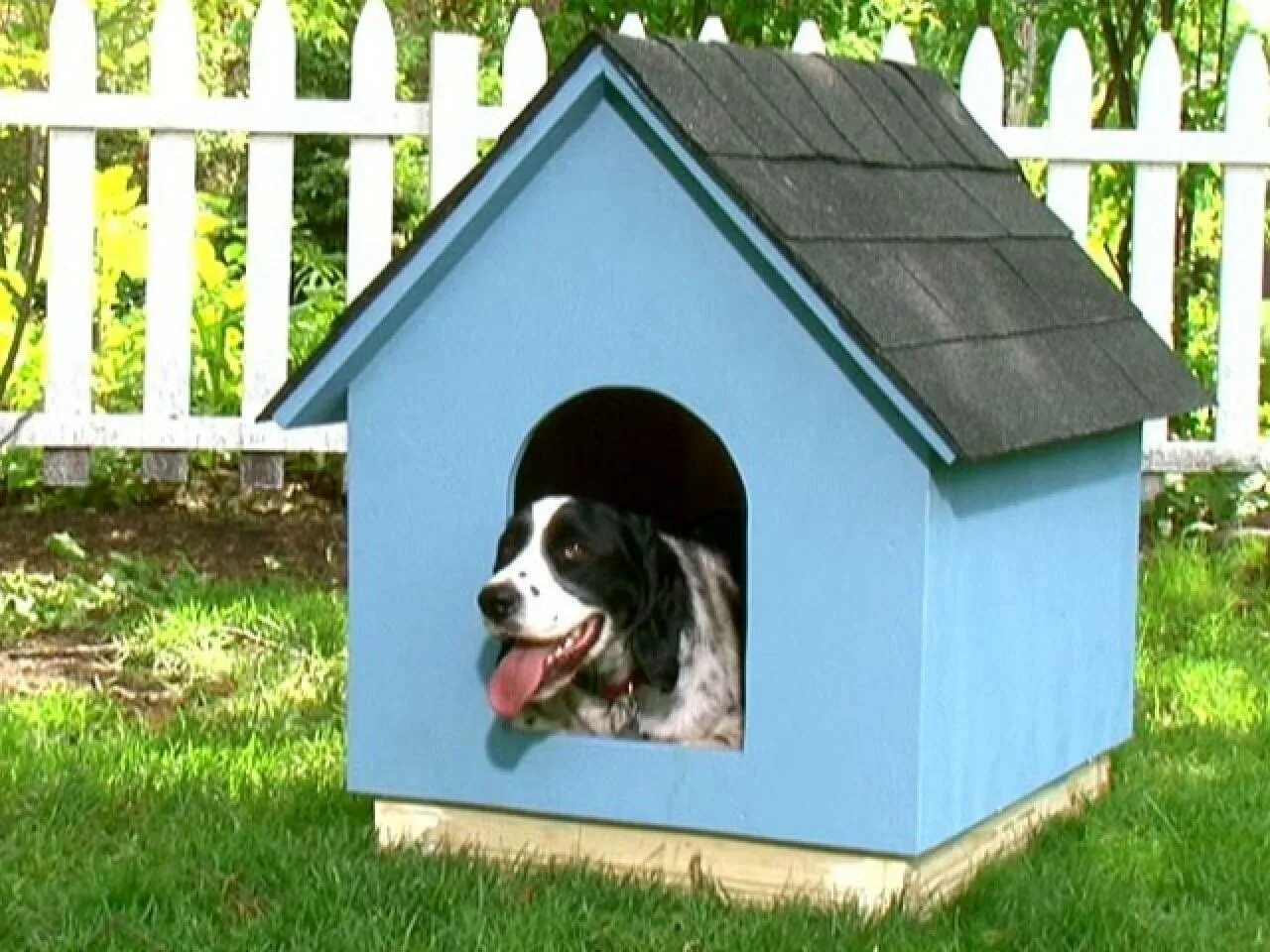 Dog house dog or alive demo. Будка для собаки из пеноблоков. Будка и скворечник. А фрейм будка для собаки. Будка из коробки для собаки своими руками.