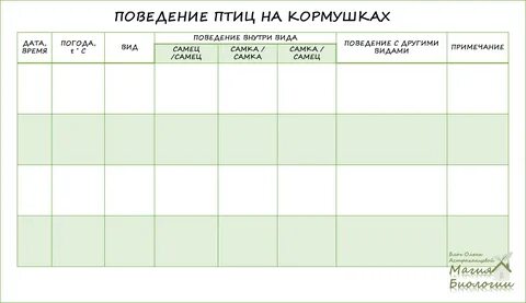Как оформить наблюдение