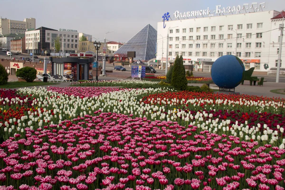 Территория витебска