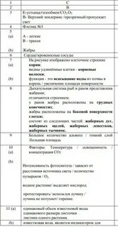 Соч биология 9 класс 3 четверть