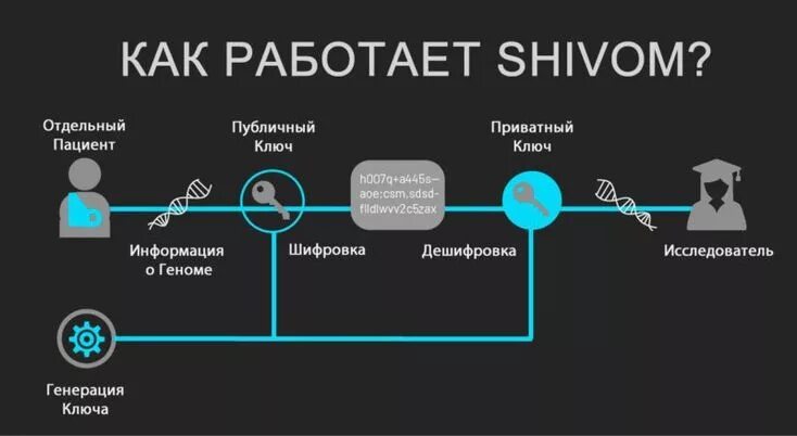 Как работают ключи. Блокчейн шифрование. публичный и приватный ключ. блокчейн публичный ключ. публичный и приватный ключ как работают.