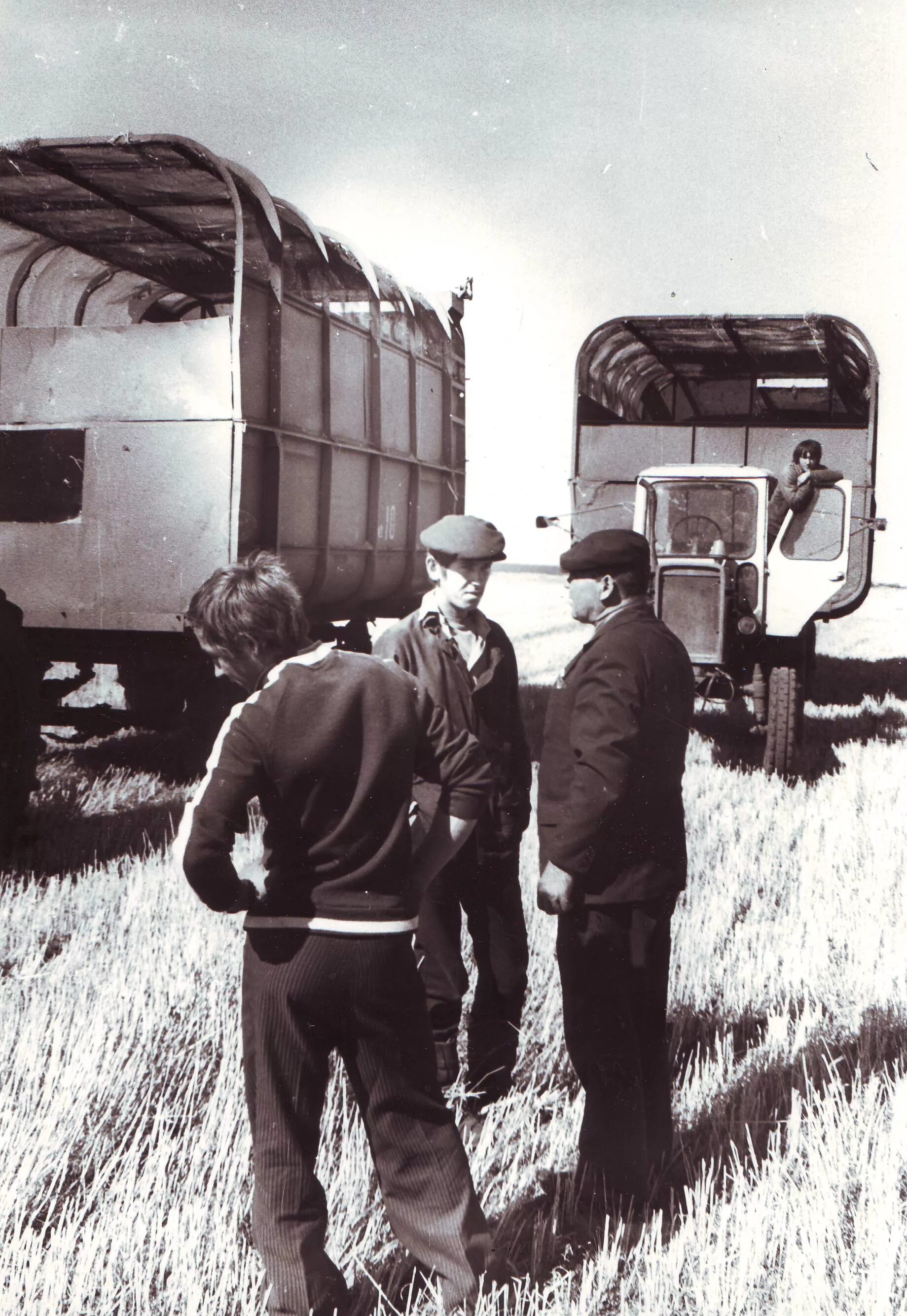 Стремилово. Колхоз 22 партсъезда. Бузулучане 20 века халитов. Xx партсъезда. Колхоз 22 партсъезда.