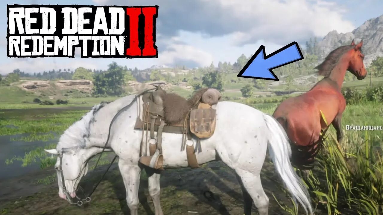 Red Dead Redemption 2 Андалузская лошадь. Red Dead Redemption 2 арабский скакун на карте. Red Dead Redemption 2 Аппалуза. Red Dead Redemption 2 арабская лошадь. Рдр 2 где найти арабскую лошадь