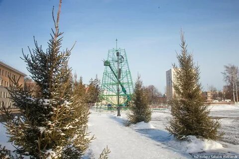 Ели томск