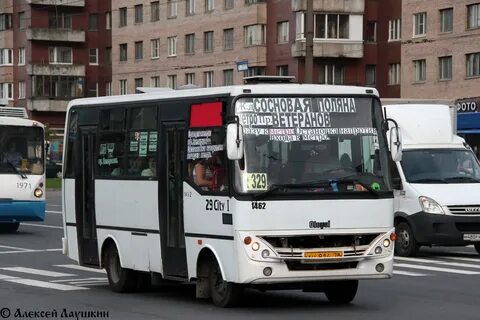 Автобус 329 спб