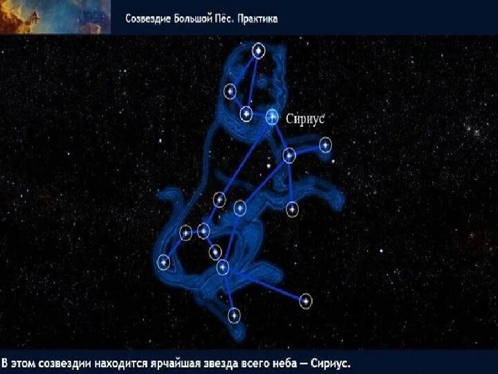 Созвездие туапсе. Созвездие большого пса звезды. Сириус звезда в созвездии. Созвездие пса Сириус. Созвездие Альфа большого пса.