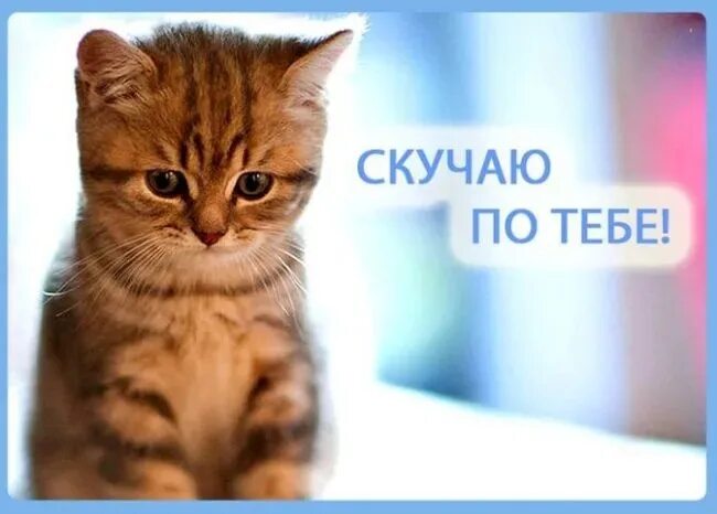 Буду очень скучать по всем