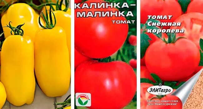 Томат сорт калинка малинка. Калинка малинка сорт томатов. томат калинка-малинка характеристика. томат калинка малинка сибирская селекция. калинка-малинка помидор описание сорта.