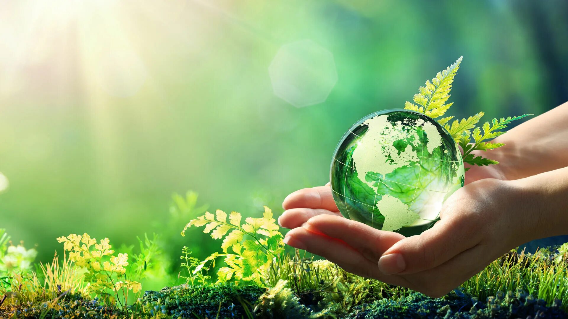 Экология. Экология планеты. Защита окружающей среды. Международный день земли. Natural solutions