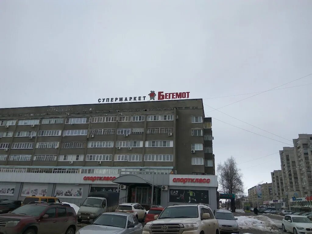 Губерта бегемот. Карликовые бегемотики. Большереченский зоопарк бегемот. Бегемот комсомольская. Зоопарк калининград бегемот.
