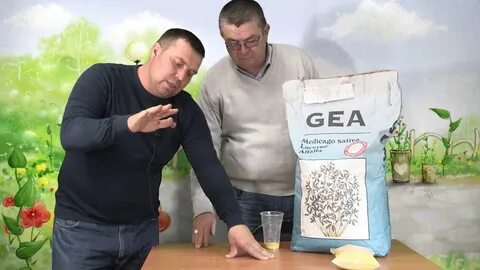 Семена люцерны джея