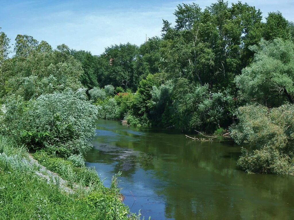 Река иж в удмуртии. Притоки реки иж. Иж (приток камы). Река велегушка. Притоки реки иж.