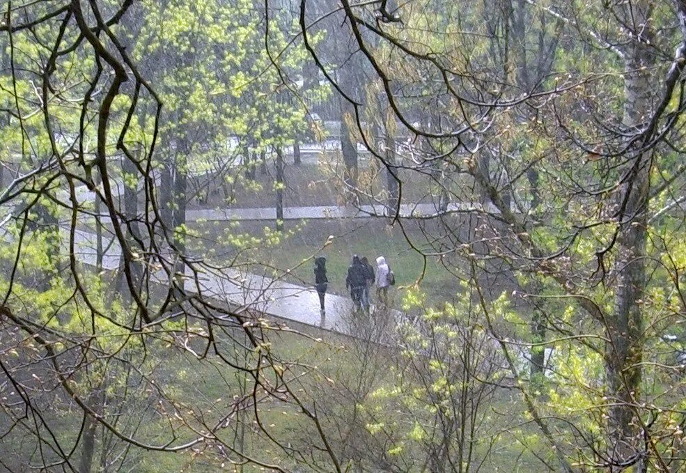 Майский ливень. Майский дождь. Дождь в мае. Черемуховый дождь. Погода конец апреля начало мая 2024