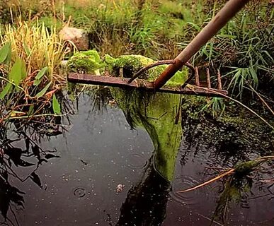 Приспособление водоемов