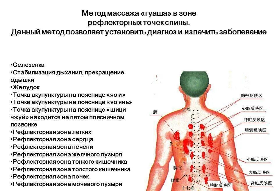 Температура 37 боль в лопатках