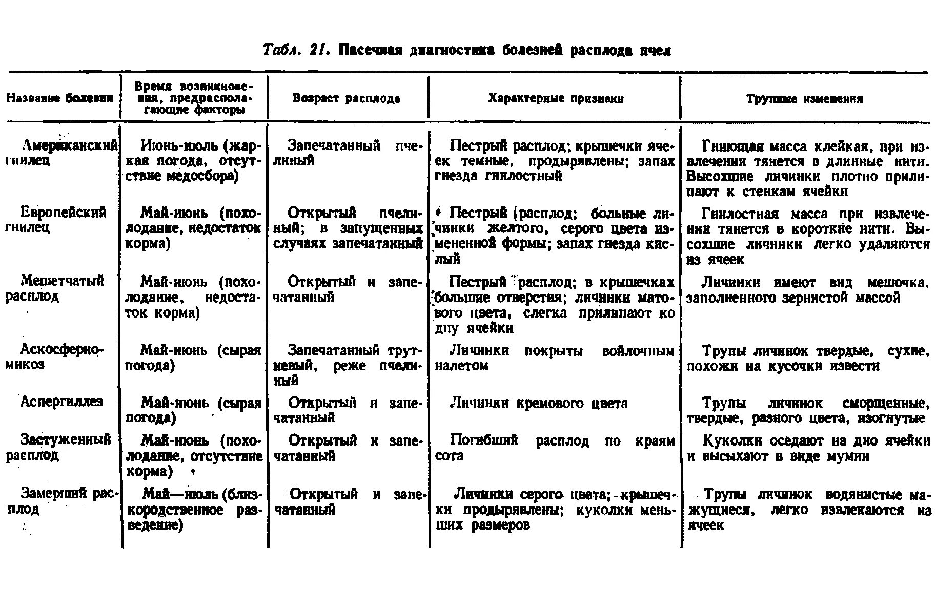 Таблица развития пчел. Инфекционные болезни пчел таблица. Дифференциальная диагностика болезней пчёл.. Незаразные болезни пчел таблица. Инфекционные заболевания пчел.