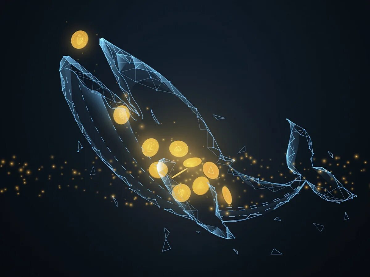 Top 10 bitcoin whales part. Bitcoin кит. биткоин кит. кит btc. whales market криптовалюта.