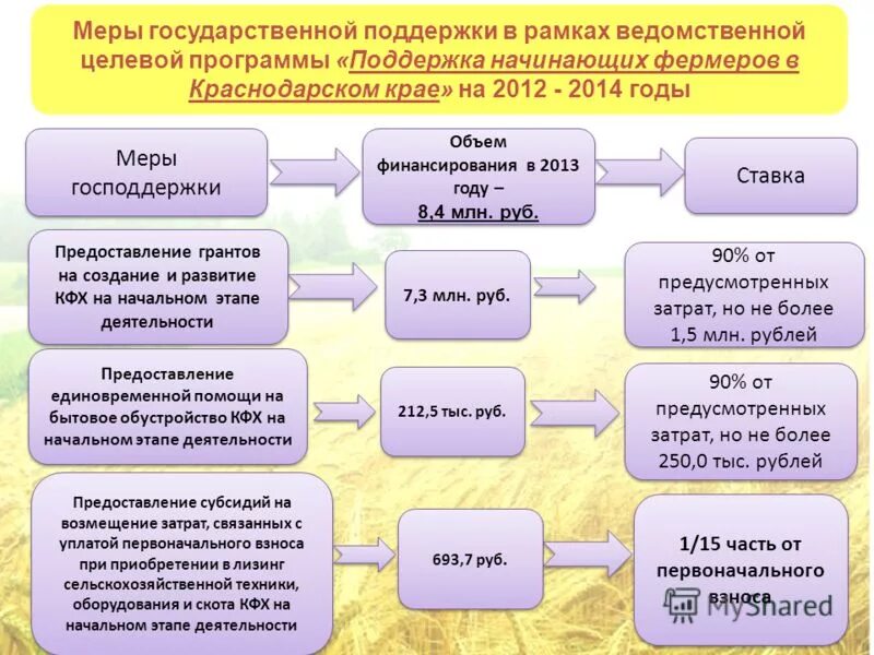 Программа помощи в краснодарском крае. Программа помощи в краснодарском крае