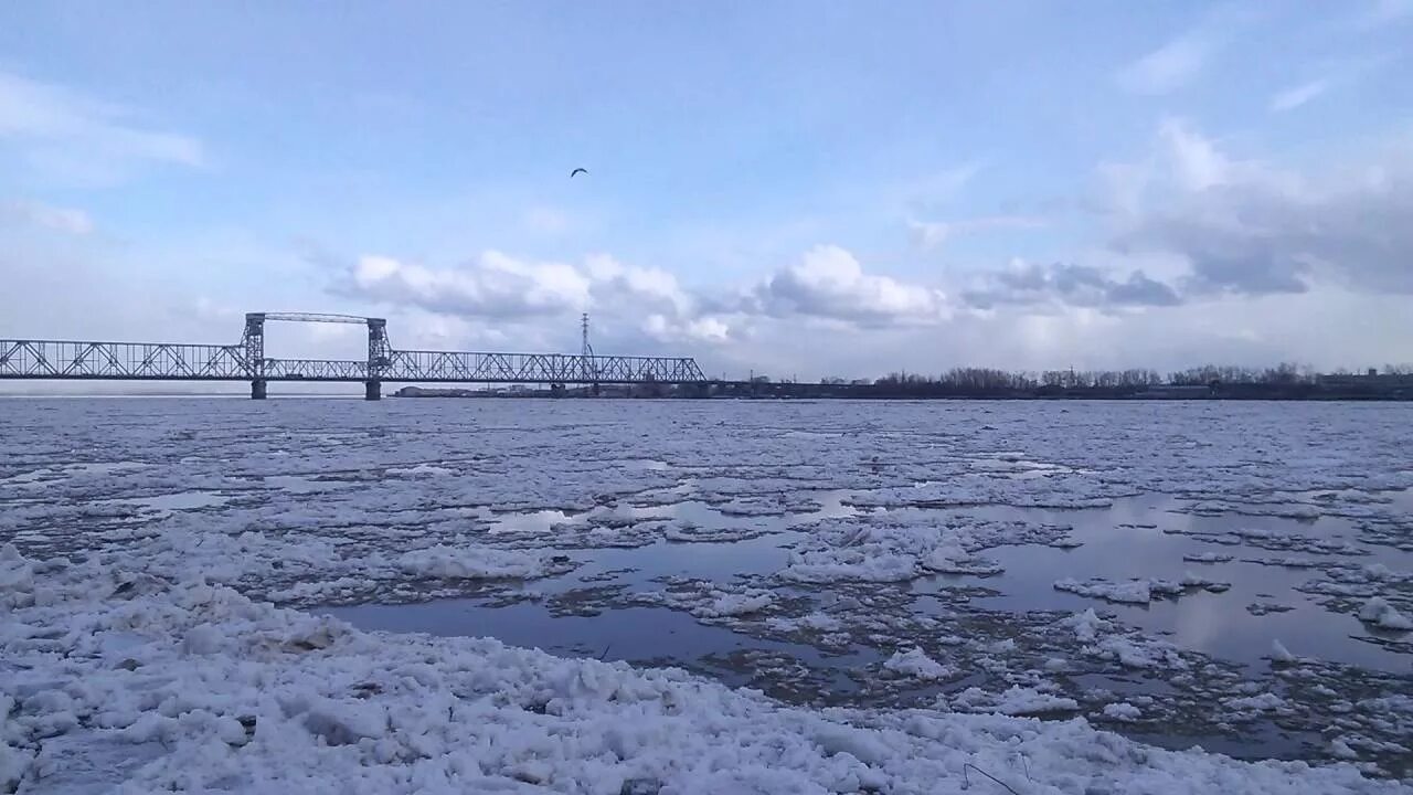Вода северная двина архангельск. Новая набережная в архангельске на реке северная двина. Река северная двина котлас. Вода северная двина архангельск. Северная двина и белое море.