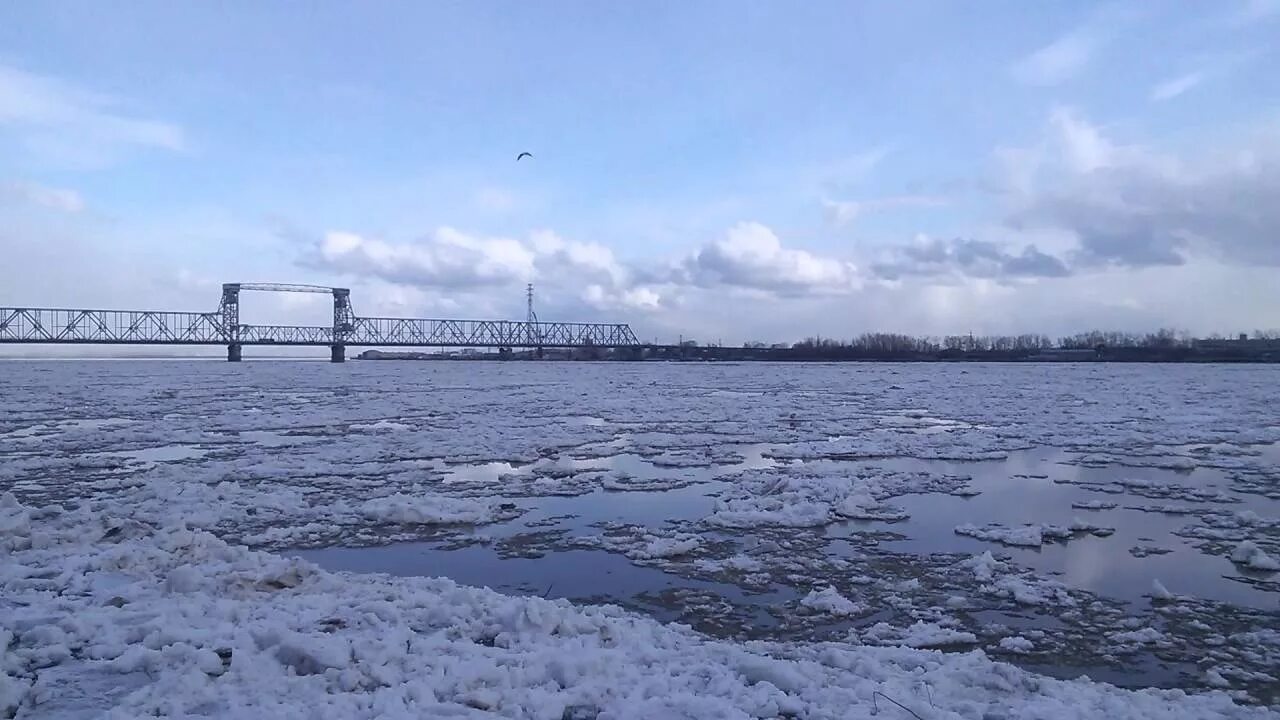 Уровень воды в северной двине. Река Северная Двина. Северная Двина зимой Архангельск. Река Северная Двина зимой. Северная Двина Котлас.