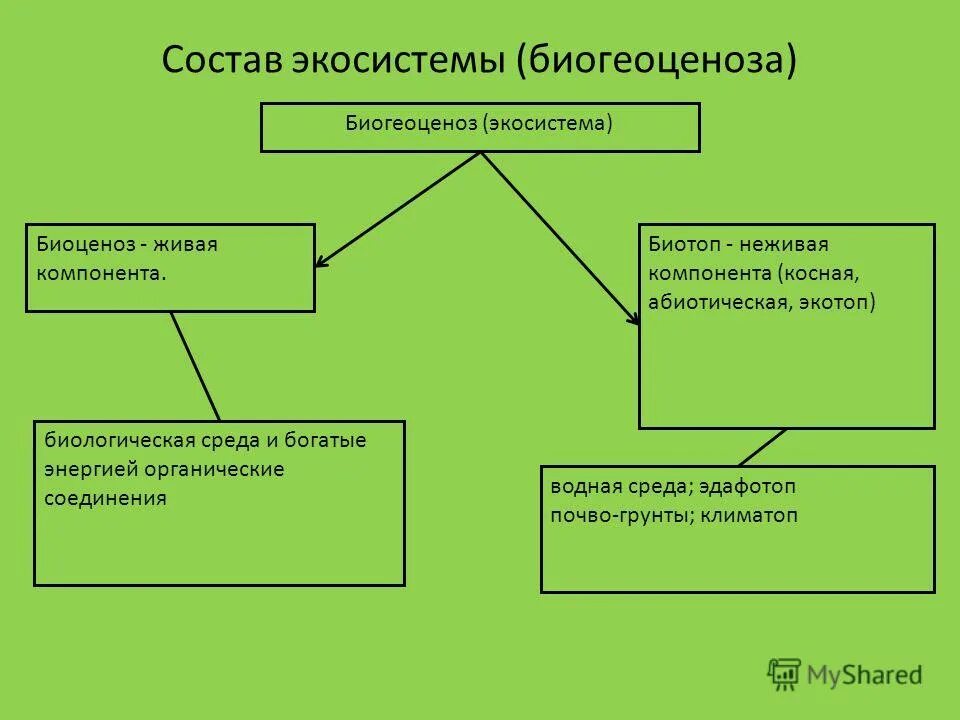 участники экосистемы. экосистема образования. экосистема дополнительного образования. экосистема сбербанка презентация. инновационная экосистема сколково.