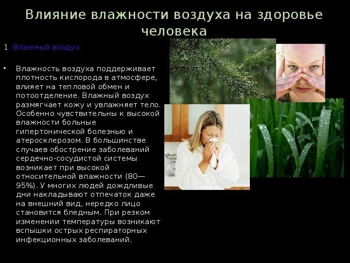 Влияние влажности воздуха на самочувствие человека. Влажность воздуха и ее влияние на здоровье человека. Влияние влажности на организм человека. Влияние влажности воздуха на организм человека