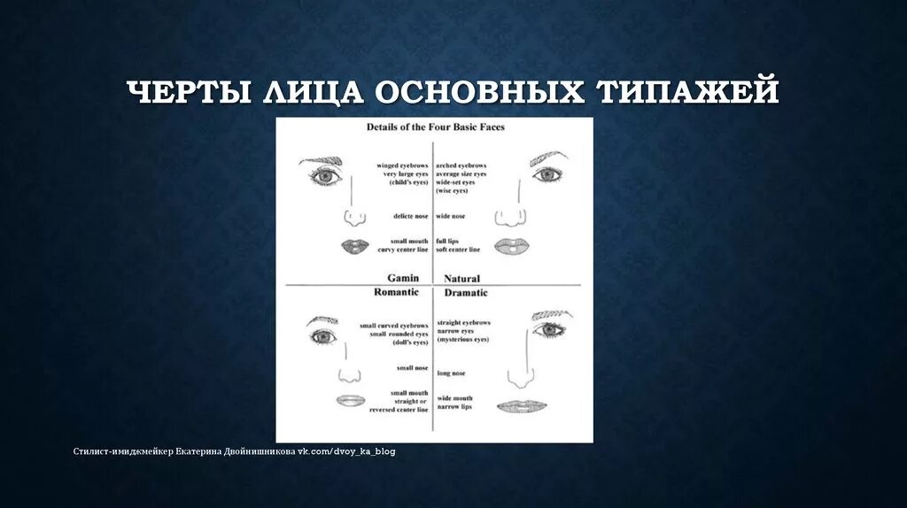 Система типажей ларсон. Типажи по ларсон. черты лица по ларсон. стилевые типажи по ларсон. стилевые типажи внешности по ларсон.