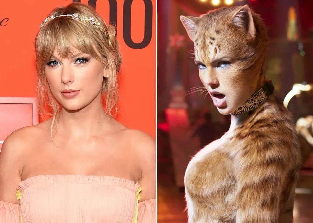 Swift cat