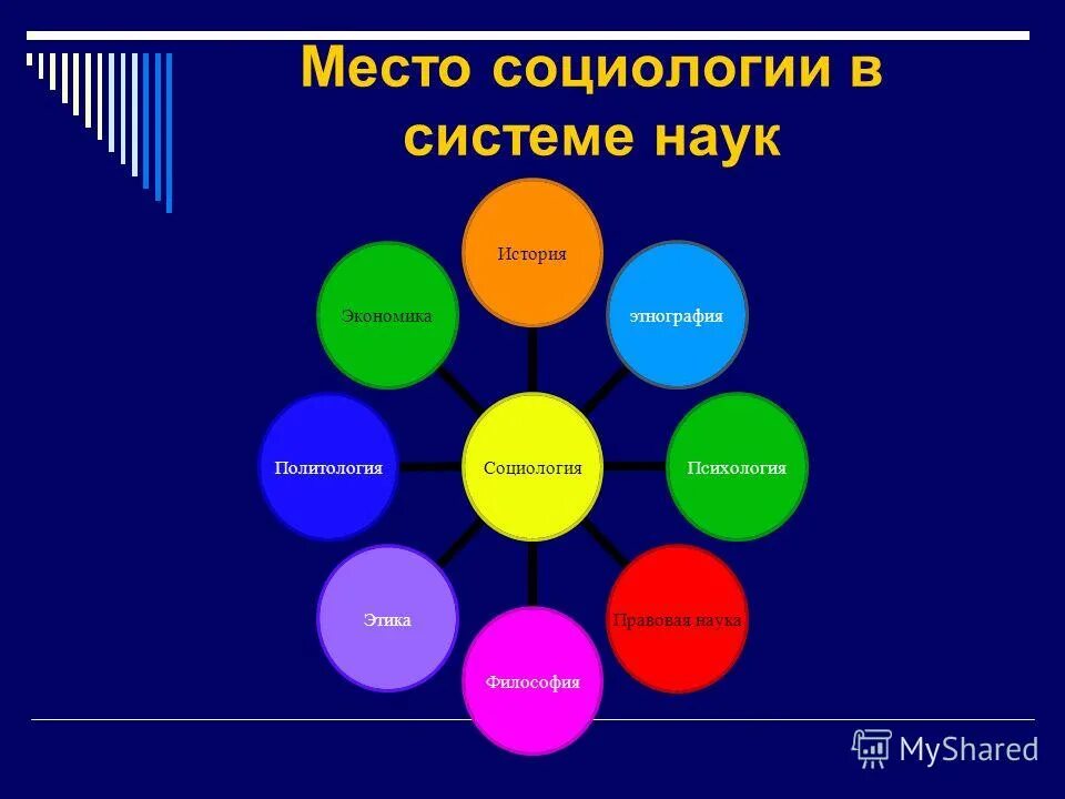 место социологии в системе гуманитарных наук. место социологии в системе наук об обществе. место социологии в системе общественных наук. место социологии в системе общественных наук. место социологии в системе общественных наук.